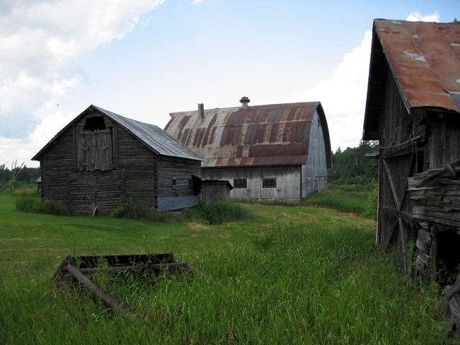 Pic of The pole barn, cow barn & blacksmith shop in 2008