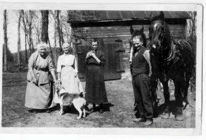 Mary & her mother & ?